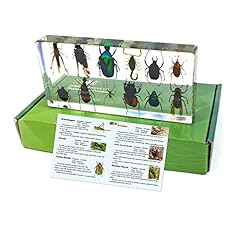 Realbug bugs collection for sale  Delivered anywhere in USA 