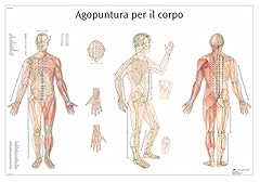 Scientific vr4820uu agopuntura usato  Spedito ovunque in Italia 