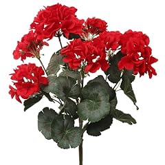 Vibrant red geranium for sale  Delivered anywhere in USA 