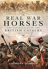 Real war horses for sale  Delivered anywhere in USA 