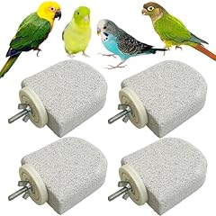 Pinvnby pcs bird for sale  Delivered anywhere in USA 