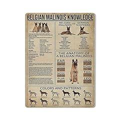 Belgian malinois knowledge for sale  Delivered anywhere in UK