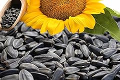 Sonnenblumenkerne schwarz erst gebraucht kaufen  Wird an jeden Ort in Deutschland