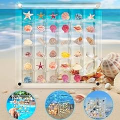 Acrylic seashell display for sale  Delivered anywhere in Ireland