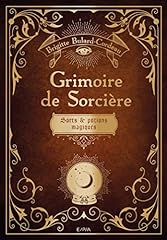 Grimoire sorcière sorts d'occasion  Livré partout en France