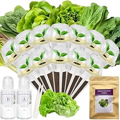 Salad greens seed for sale  Delivered anywhere in UK