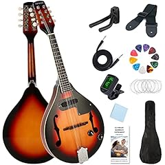 Eavnbaek mandolin style for sale  Delivered anywhere in USA 