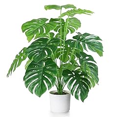 Eyamumo fake plants for sale  Delivered anywhere in USA 