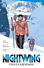 Nightwing vol fallen gebraucht kaufen  Wird an jeden Ort in Deutschland