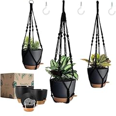 Bouqlife pack self for sale  Delivered anywhere in USA 