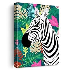 Plants zebra canvas for sale  Delivered anywhere in USA 