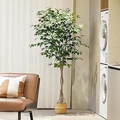 6ft artificial ficus for sale  Delivered anywhere in USA 