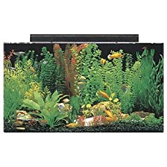 SeaClear 50 gal Acrylic Aquarium Combo Set, 36 by 15 for sale  Delivered anywhere in USA 