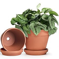 Ingofin terracotta pots for sale  Delivered anywhere in USA 