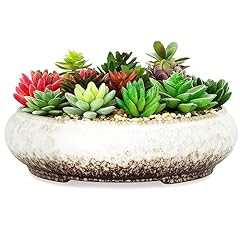Succulent pots 11.5 for sale  Delivered anywhere in USA 