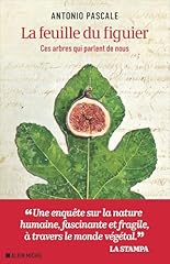 figuier d'occasion figuier d'occasion Livré partout en France