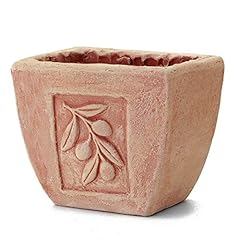 Vaso terracotta ulivo usato  Spedito ovunque in Italia 
