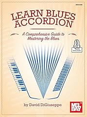 Learn blues accordion for sale  Delivered anywhere in UK