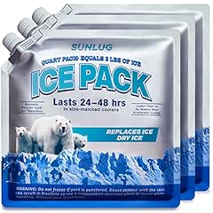 Sunlug cooler ice for sale  Delivered anywhere in USA 