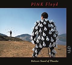 Delicate sound thunder d'occasion  Livré partout en France