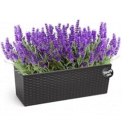 Konzept hochwertige blumenkast gebraucht kaufen  Wird an jeden Ort in Deutschland
