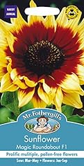Fothergill 14923 sunflower for sale  Delivered anywhere in Ireland