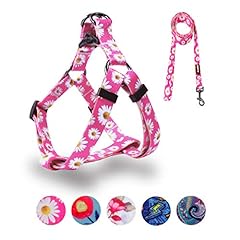 Qqpets dog harness for sale  Delivered anywhere in USA 