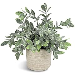 Hopewood faux plants for sale  Delivered anywhere in USA 