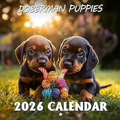 Doberman puppies calendar for sale  Delivered anywhere in UK