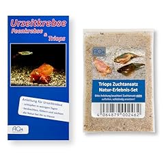 Aq4aquaristik triops zuchtansa gebraucht kaufen  Wird an jeden Ort in Deutschland