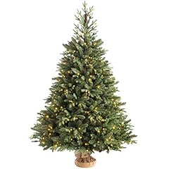 Werchristmas norway spruce for sale  Delivered anywhere in UK