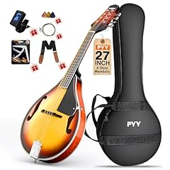 Pyy mandolin instrument for sale  Delivered anywhere in USA 