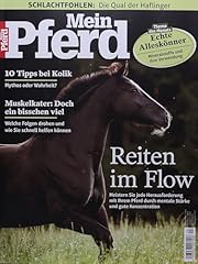 Pferd 4 2025 gebraucht kaufen  Wird an jeden Ort in Deutschland