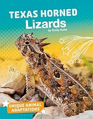 Texas horned lizards for sale  Delivered anywhere in USA 
