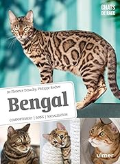 chatons bengal loof d'occasion  Livré partout en France