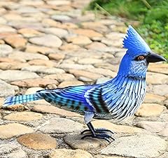 Blue jay bird for sale  Delivered anywhere in USA 