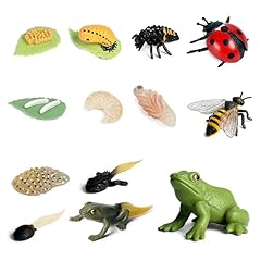 Hojalis insect life for sale  Delivered anywhere in UK