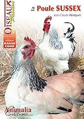 Poule sussex périquet d'occasion  Livré partout en France