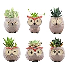 Lewondr succulents flowerpots gebraucht kaufen  Wird an jeden Ort in Deutschland