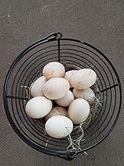 Fertile duck eggs for sale  Delivered anywhere in USA 
