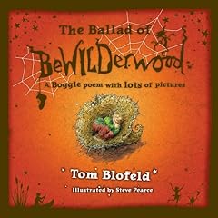The ballad bewilderwood d'occasion  Livré partout en Belgiqu