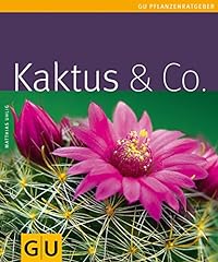 Kaktus co . gebraucht kaufen  Wird an jeden Ort in Deutschland
