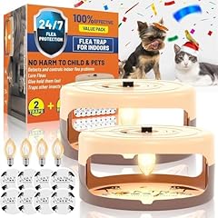 Packs flea traps for sale  Delivered anywhere in USA 