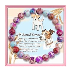 Partner jack russell for sale  Delivered anywhere in USA 