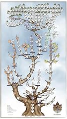 Stammbaum wittelsbacher gebraucht kaufen  Wird an jeden Ort in Deutschland