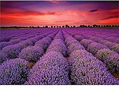 Jigsaw puzzles 1000 for sale  Delivered anywhere in USA 
