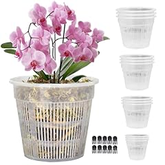 Tialero 12pcs orchid for sale  Delivered anywhere in USA 