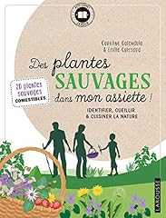 Plantes sauvages assiette d'occasion  Livré partout en France