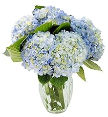 Kabloom flowers summer for sale  Delivered anywhere in USA 