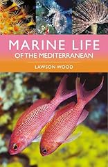 Marine life mediterranean for sale  Delivered anywhere in UK